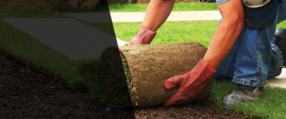 Duffield Landscapers